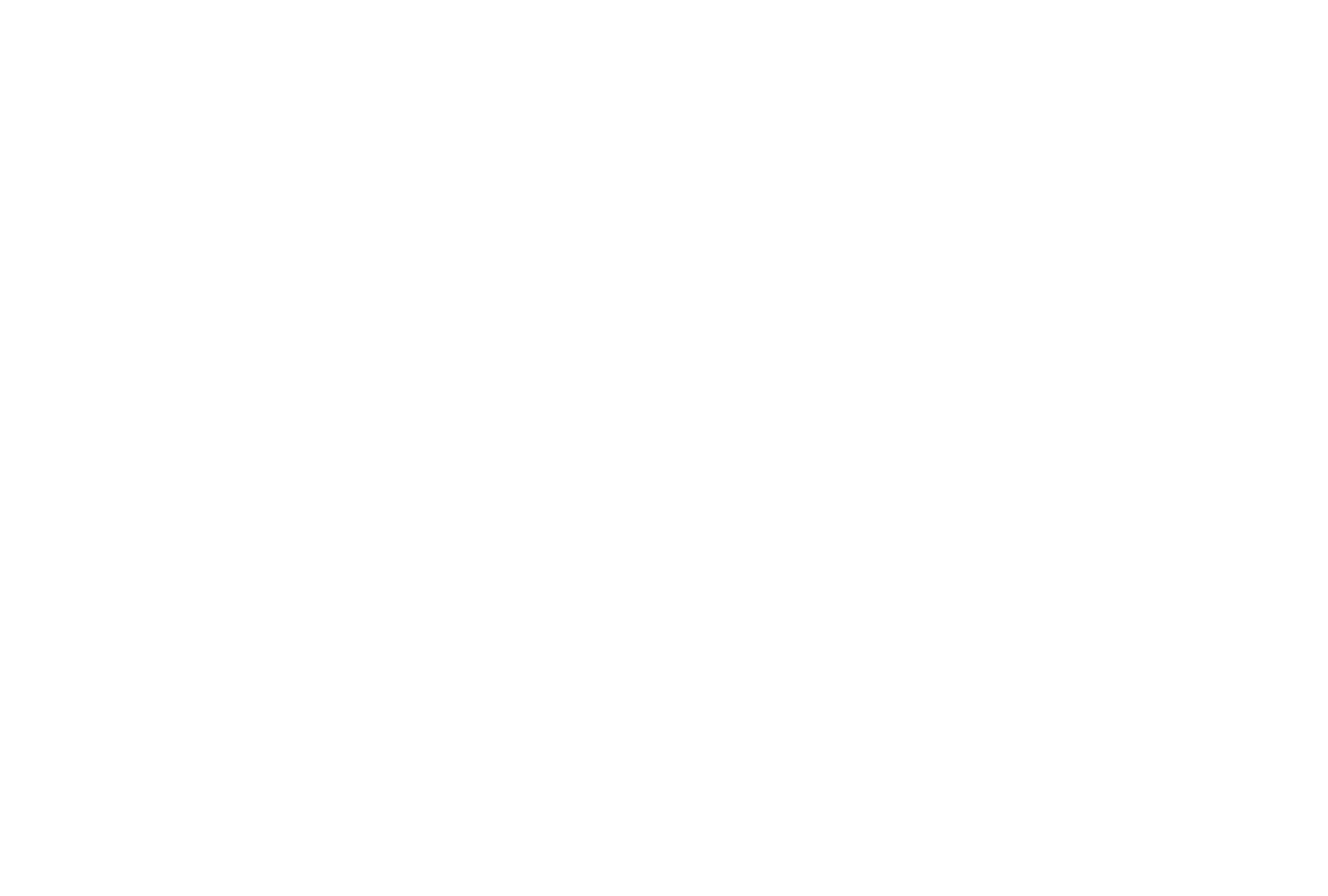 Wegelaar